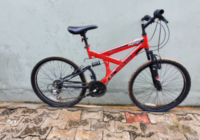 a92331f6-2846-447c-b49a-b22af4fe86ff_0_watermark